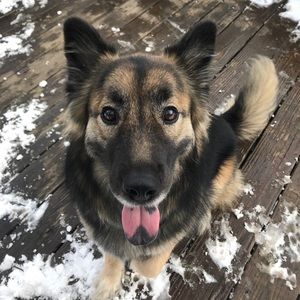 Meet your Posher, Jacqueline